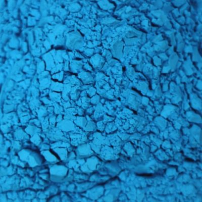 Blue Gender Reveal Holi Color Powder- Fast Shipping! – Gender Reveal Co